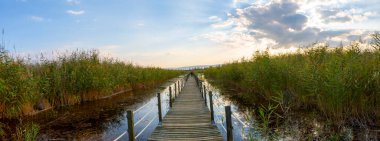 güzel manzara ve sultanmarshes (kuş cenneti) yanındaki erciyes Dağı, kayseri
