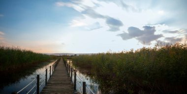 güzel manzara ve sultanmarshes (kuş cenneti) yanındaki erciyes Dağı, kayseri