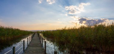 güzel manzara ve sultanmarshes (kuş cenneti) yanındaki erciyes Dağı, kayseri