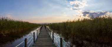 güzel manzara ve sultanmarshes (kuş cenneti) yanındaki erciyes Dağı, kayseri