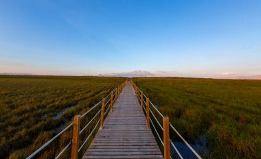 güzel manzara ve sultanmarshes (kuş cenneti) yanındaki erciyes Dağı, kayseri
