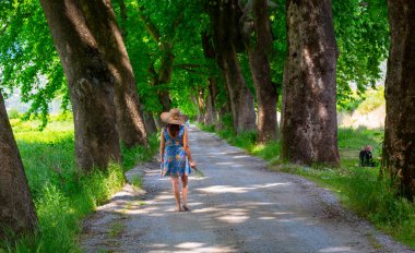 Dudakli köyü ve ormanda bir yol, köyün hemen yanında bir göl var..