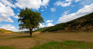 Erciyes Dağı ve çevresindeki köyler.