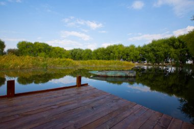 Altın sarısı bataklıklar ve sazlıklar açık mavi gökyüzünün önünde yaz veya sonbahar mevsiminde. Bu Sazligi Kayseri Sultan 'dan..