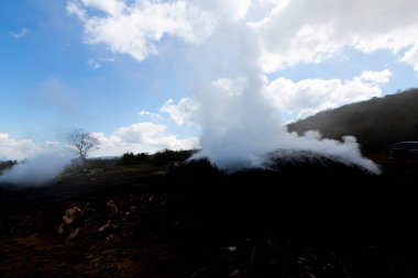 Tahtadan kömür yapmak için hazırlık. Ormanda kömür üretimi için hazırlanmış bir odun yığını..