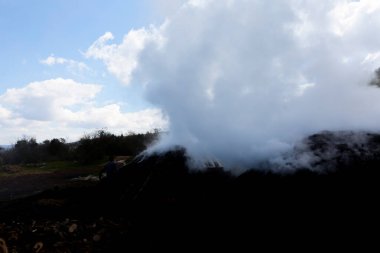 Tahtadan kömür yapmak için hazırlık. Ormanda kömür üretimi için hazırlanmış bir odun yığını..