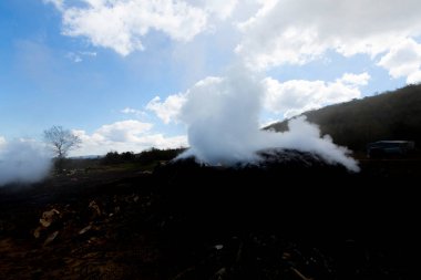 Tahtadan kömür yapmak için hazırlık. Ormanda kömür üretimi için hazırlanmış bir odun yığını..