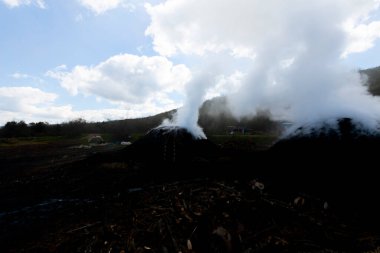 Tahtadan kömür yapmak için hazırlık. Ormanda kömür üretimi için hazırlanmış bir odun yığını..