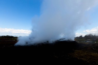 Tahtadan kömür yapmak için hazırlık. Ormanda kömür üretimi için hazırlanmış bir odun yığını..