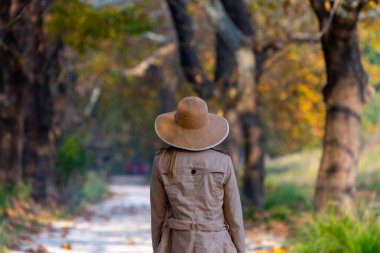 Türkiye 'nin Mugla kentinde ağaçlarla dolu güzel bir yol
