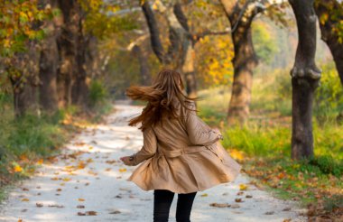 Türkiye 'nin Mugla kentinde ağaçlarla dolu güzel bir yol