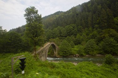 Geleneksel evler ve eski taş köprüler, Rize - Türkiye