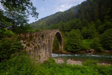 Geleneksel evler ve eski taş köprüler, Rize - Türkiye