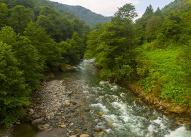 Geleneksel evler ve eski taş köprüler, Rize - Türkiye