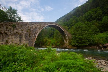 Geleneksel evler ve eski taş köprüler, Rize - Türkiye