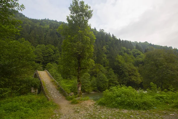 Geleneksel evler ve eski taş köprüler, Rize - Türkiye