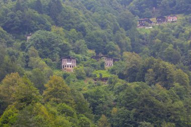 Geleneksel evler ve eski taş köprüler, Rize - Türkiye