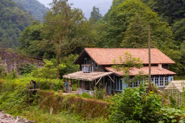 Geleneksel evler ve eski taş köprüler, Rize - Türkiye