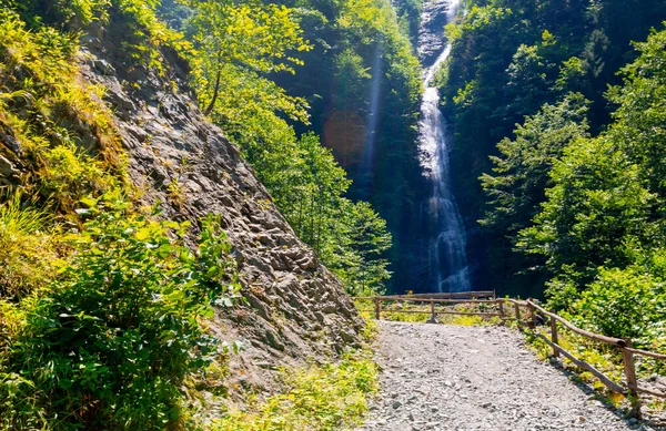 Letní Sezóna Dehtovém Vodopádu Camlihemsin Rize Turecko — Stock fotografie