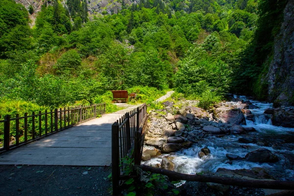 Letní Sezóna Dehtovém Vodopádu Camlihemsin Rize Turecko — Stock fotografie