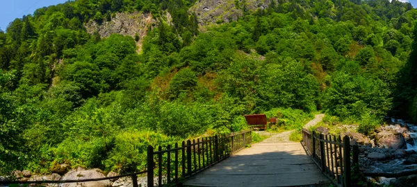Sommarsäsong Tar Waterfall Camlihemsin Rize Turkiet — Stockfoto
