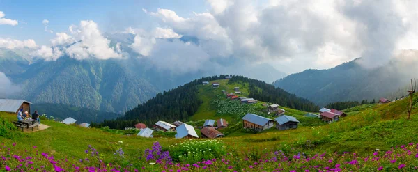 지대에 전통적 주택들 사진은 Pokut Rize Black Sea Karadeniz 지역에서 — 스톡 사진