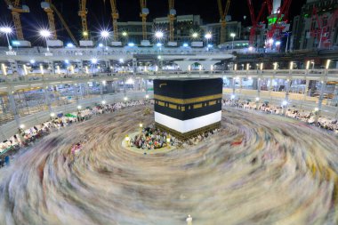 Suudi Arabistan 'da hurma ağaçları ve olgun tarihler.