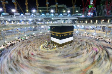 Suudi Arabistan 'da hurma ağaçları ve olgun tarihler.