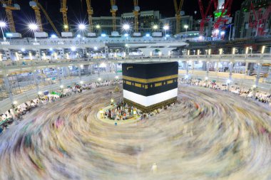 Suudi Arabistan 'da hurma ağaçları ve olgun tarihler.