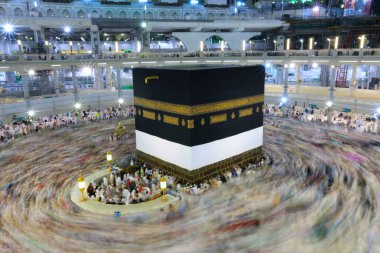 Suudi Arabistan 'da hurma ağaçları ve olgun tarihler.