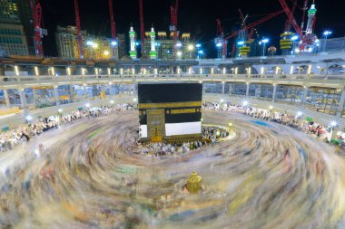 Suudi Arabistan 'da hurma ağaçları ve olgun tarihler.