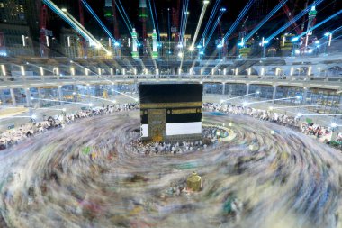 Suudi Arabistan 'da hurma ağaçları ve olgun tarihler.