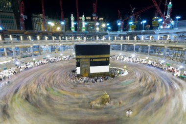 Suudi Arabistan 'da hurma ağaçları ve olgun tarihler.