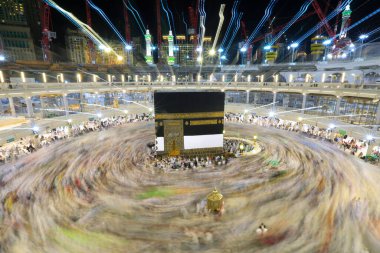 Suudi Arabistan 'da hurma ağaçları ve olgun tarihler.