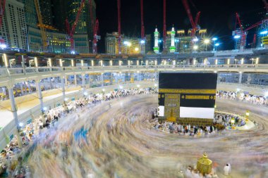 Suudi Arabistan 'da hurma ağaçları ve olgun tarihler.