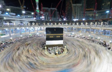 Suudi Arabistan 'da hurma ağaçları ve olgun tarihler.