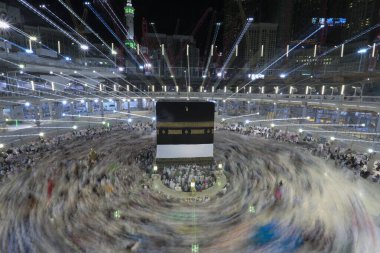 Suudi Arabistan 'da hurma ağaçları ve olgun tarihler.