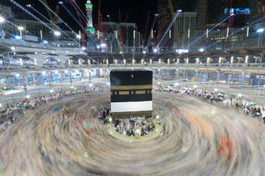 Suudi Arabistan 'da hurma ağaçları ve olgun tarihler.