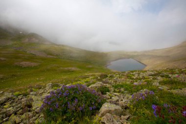Ispir Seven Lakes / Erzurum / Turkey Ispir Seven Lakes, Erzurum 'un kuzeyinde yer almaktadır. 11 krater gölünden oluşur. Denizden gelen göllerin yüksekliği 3500 metredir. Göllere ulaşılabilir.