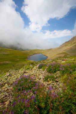 Ispir Seven Lakes / Erzurum / Turkey Ispir Seven Lakes, Erzurum 'un kuzeyinde yer almaktadır. 11 krater gölünden oluşur. Denizden gelen göllerin yüksekliği 3500 metredir. Göllere ulaşılabilir.