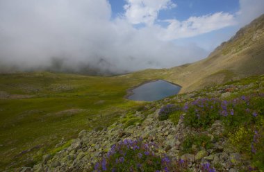 Ispir Seven Lakes / Erzurum / Turkey Ispir Seven Lakes, Erzurum 'un kuzeyinde yer almaktadır. 11 krater gölünden oluşur. Denizden gelen göllerin yüksekliği 3500 metredir. Göllere ulaşılabilir.