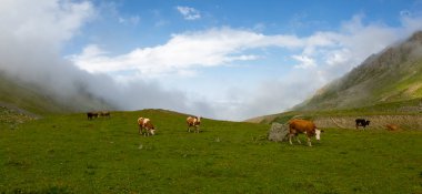 Ispir Seven Lakes / Erzurum / Turkey Ispir Seven Lakes, Erzurum 'un kuzeyinde yer almaktadır. 11 krater gölünden oluşur. Denizden gelen göllerin yüksekliği 3500 metredir. Göllere ulaşılabilir.