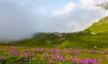 Ispir Seven Lakes / Erzurum / Turkey Ispir Seven Lakes, Erzurum 'un kuzeyinde yer almaktadır. 11 krater gölünden oluşur. Denizden gelen göllerin yüksekliği 3500 metredir. Göllere ulaşılabilir.