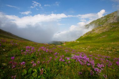 Ispir Seven Lakes / Erzurum / Turkey Ispir Seven Lakes, Erzurum 'un kuzeyinde yer almaktadır. 11 krater gölünden oluşur. Denizden gelen göllerin yüksekliği 3500 metredir. Göllere ulaşılabilir.