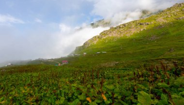 Ispir Seven Lakes / Erzurum / Turkey Ispir Seven Lakes, Erzurum 'un kuzeyinde yer almaktadır. 11 krater gölünden oluşur. Denizden gelen göllerin yüksekliği 3500 metredir. Göllere ulaşılabilir.