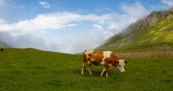 Ispir Seven Lakes/Erzurum/ Turkey Ispir Seven Lakes is located in spir, north of Erzurum. It consists of 11 crater lakes. The height of the lakes from the sea is 3500 meters. The lakes can be reache