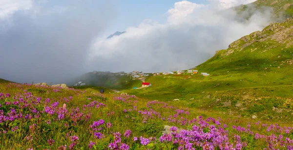 Ispir Seven Lakes Erzurum Turkey Ispir Seven Lakes Located Spir — 스톡 사진