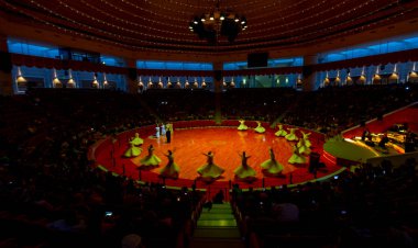 Sufi dönüşü, Sufisa 'da ortaya çıkan bir tür Sama ya da fiziksel olarak aktif meditasyondur. Yüksek ISO' da ortaya çıkar..