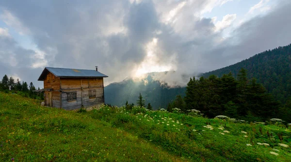 Zonsondergang Ayder Plateau Zee Van Wolken Biedt Een Perfect Visueel — Stockfoto