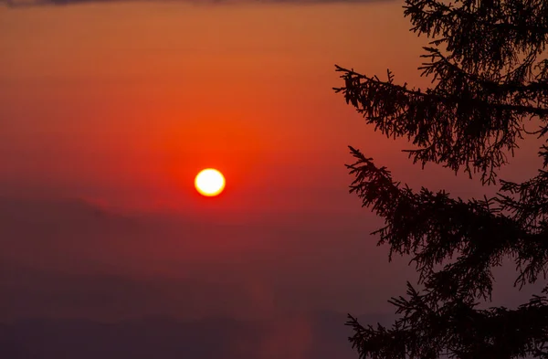 Ηλιοβασίλεμα Στο Οροπέδιο Άιντερ Θάλασσα Των Νεφών Προσφέρει Μια Τέλεια — Φωτογραφία Αρχείου